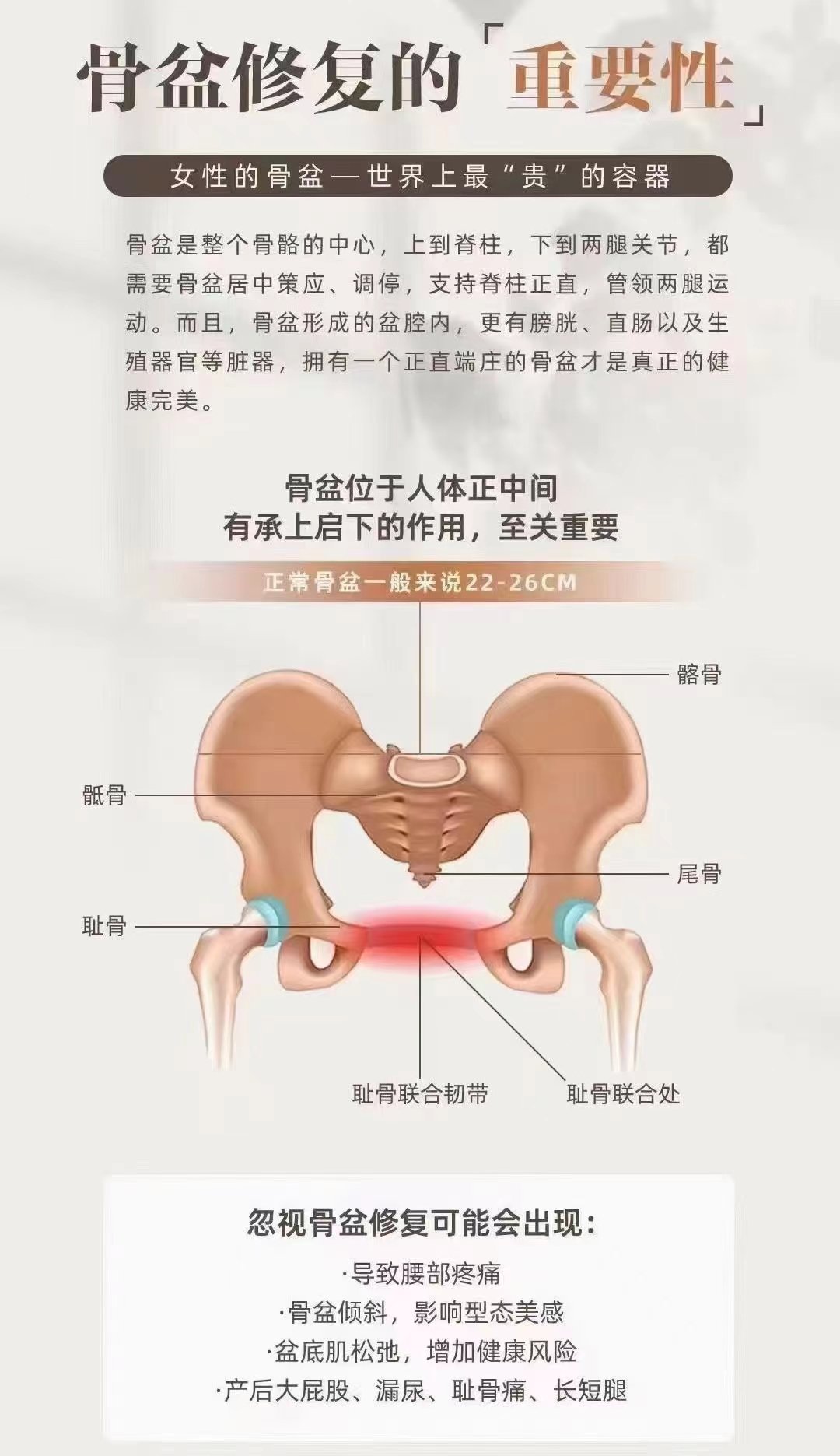 骨盆直肠间隙图片