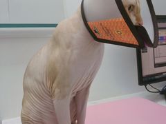 -福州肆爪动物医院