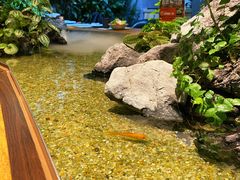 -森味薪火烧•烧鸟居酒屋•日本料理(望京店)