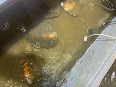 -十八字金·银饰·拼豆·开蚌DIY(魏公芳华里店)