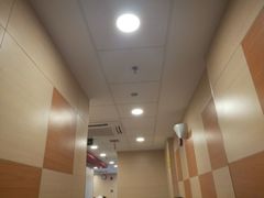 -振鼎鸡(福州路店)
