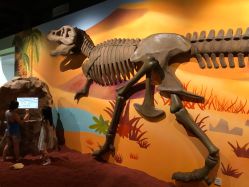 -北京科学中心儿童乐园