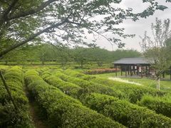 -凤凰沟景区