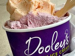 tropical-Dooley's Premium Ice Cream
