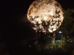 -恬阿姨庭院餐厅·生日宴