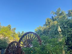 -品德宏·孔雀宴的发源地(金塔园店)