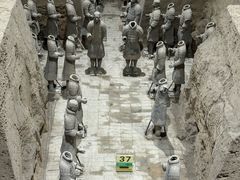 -秦始皇帝陵博物院(兵马俑)