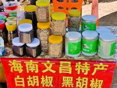 -东郊椰林