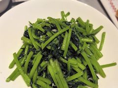 -7号院家宴.烧鸽子(门头沟店)