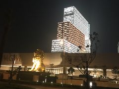 -影汇之星8字形摩天轮
