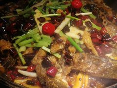 -老板恋上鱼(恒隆广场店)