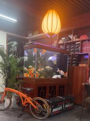 -刺客者联盟纹身·洗纹身工作室