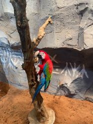 -Zoolung Zoolung动物主题公园(海信广场店)