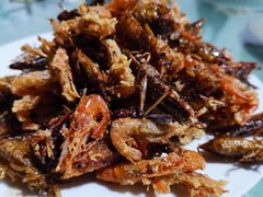 -金台阶鱼馆(于桥水库店)