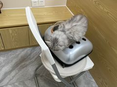 -芭比堂动物医院·24小时·眼科中心(深圳中心)