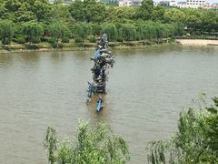 -上海鲜花港