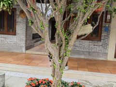 -顺德了能馆(虎门店)