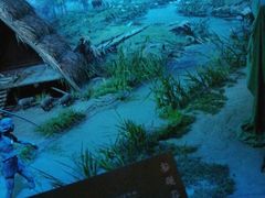 -上海崧泽遗址博物馆