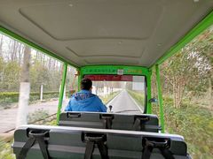 -合肥滨湖国家森林公园