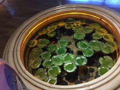 -昆明柏联SPA温泉