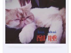 -极木²邸 人与宠物·互动社区