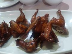 -东鸽皇(奥园·中环广场店)