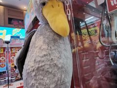 -LLJ夹机占(清河万象汇店)