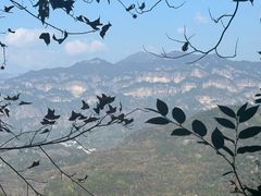 -温州永嘉书院