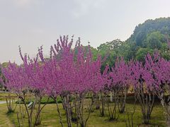 -白塘生态植物园