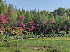 -洛龙公园