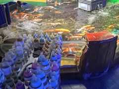 -太平洋海底世界