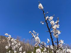 -北京凤凰岭