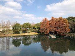 -尚贤河湿地