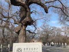 -北陵公园