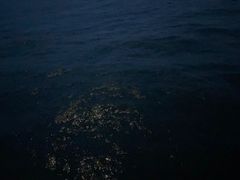-星光岛