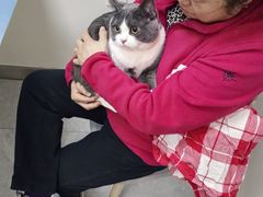 -中农国际动物医院24小时·猫科·骨科·急重症中心