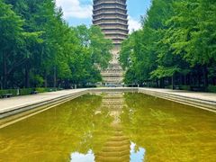 -玲珑塔公园