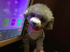 -K100佰份佰KTV(福田店)