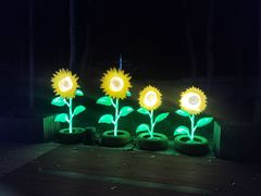-枫花园汽车电影院(朝阳公园店)