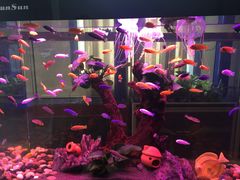 -秦美花卉(天朗·莱茵小城2期店)