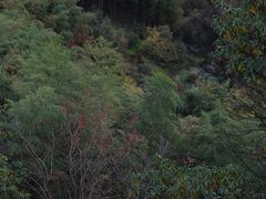 -丹山赤水风景名胜区