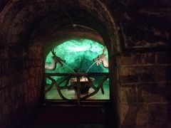 -青岛葡萄酒博物馆