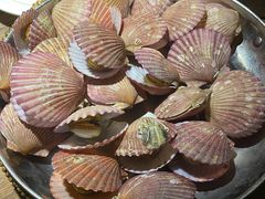 -前海沿·青岛菜(大拇指广场石老人店)