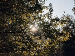 -森林公园(尖草坪区)