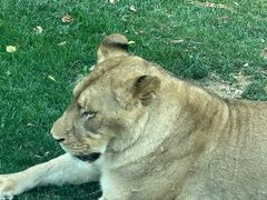 -北京野生动物园