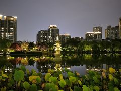 -木塔寺遗址生态公园
