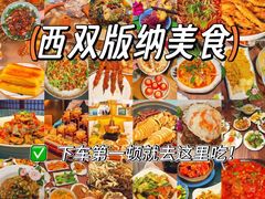 -西双版纳原始森林公园