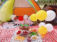 -白鹭湾湿地公园