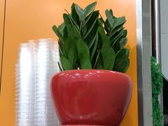 -芳芳餐厅(白沙路店)