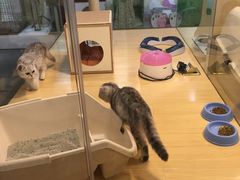 -宠物世家(仲盛世界商城店)